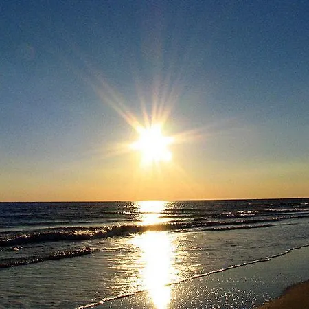 студио наде